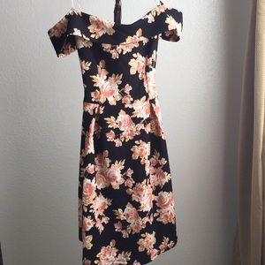 NWOT Gorgeous Off the Shoulder Skater Dress *Roses